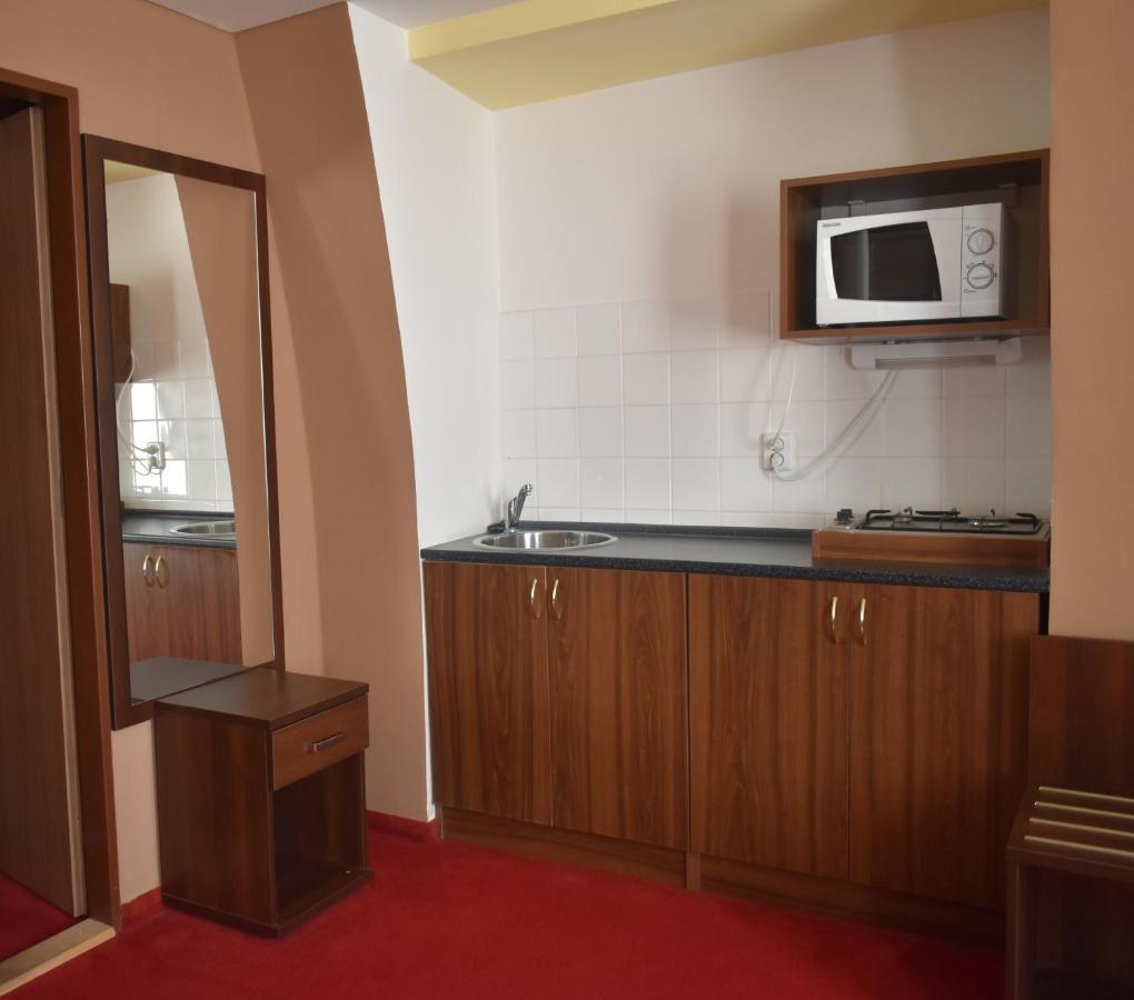 Hotel Cerny Orel Zatec Exterior foto
