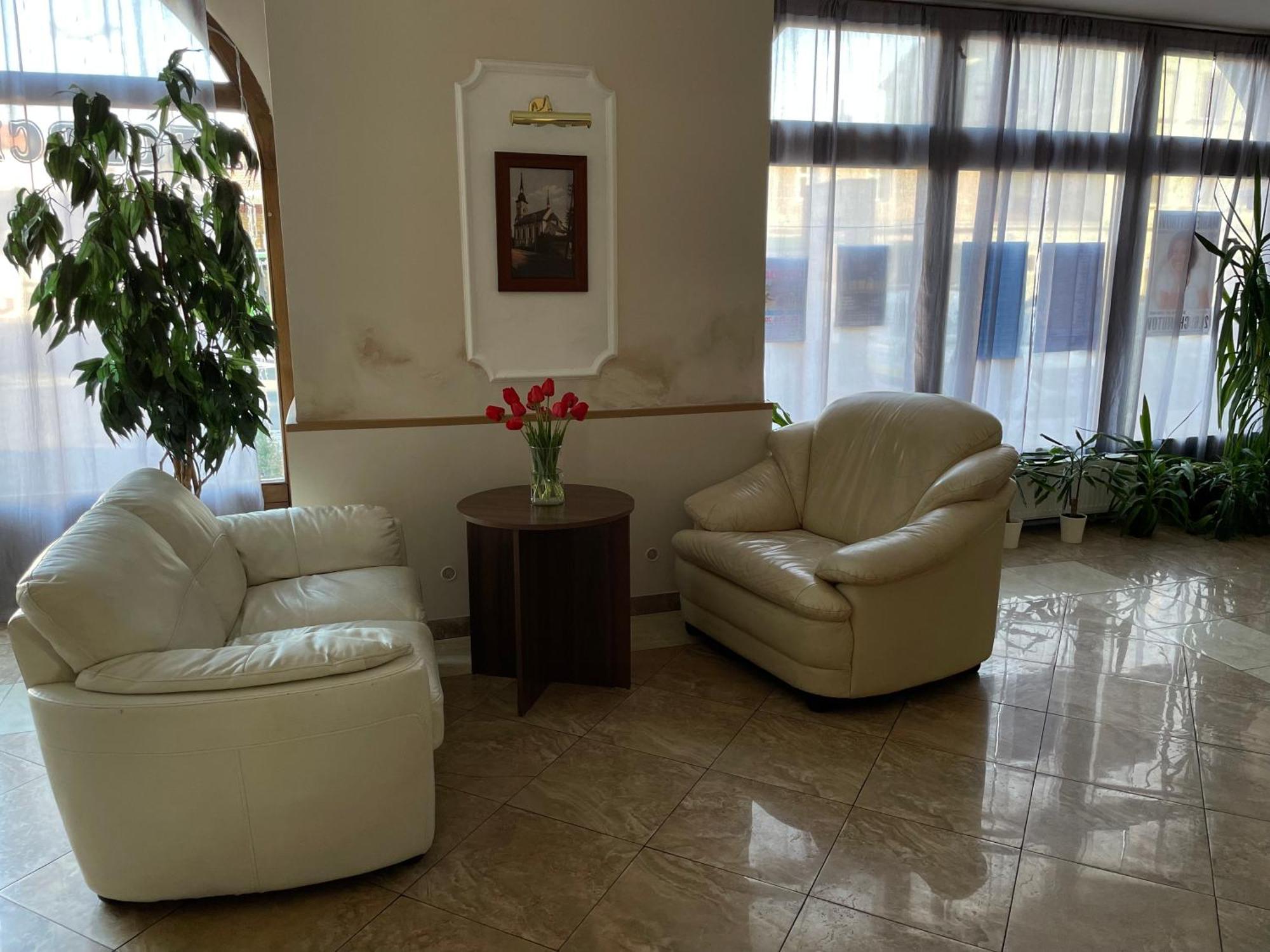 Hotel Cerny Orel Zatec Exterior foto